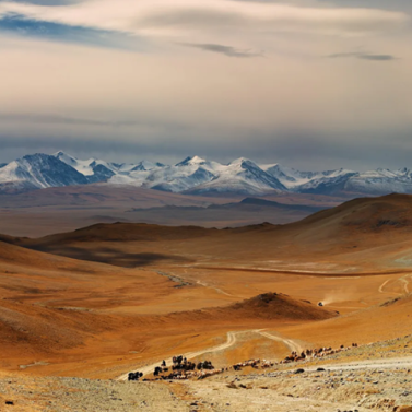 Voyage initiatique en Mongolie